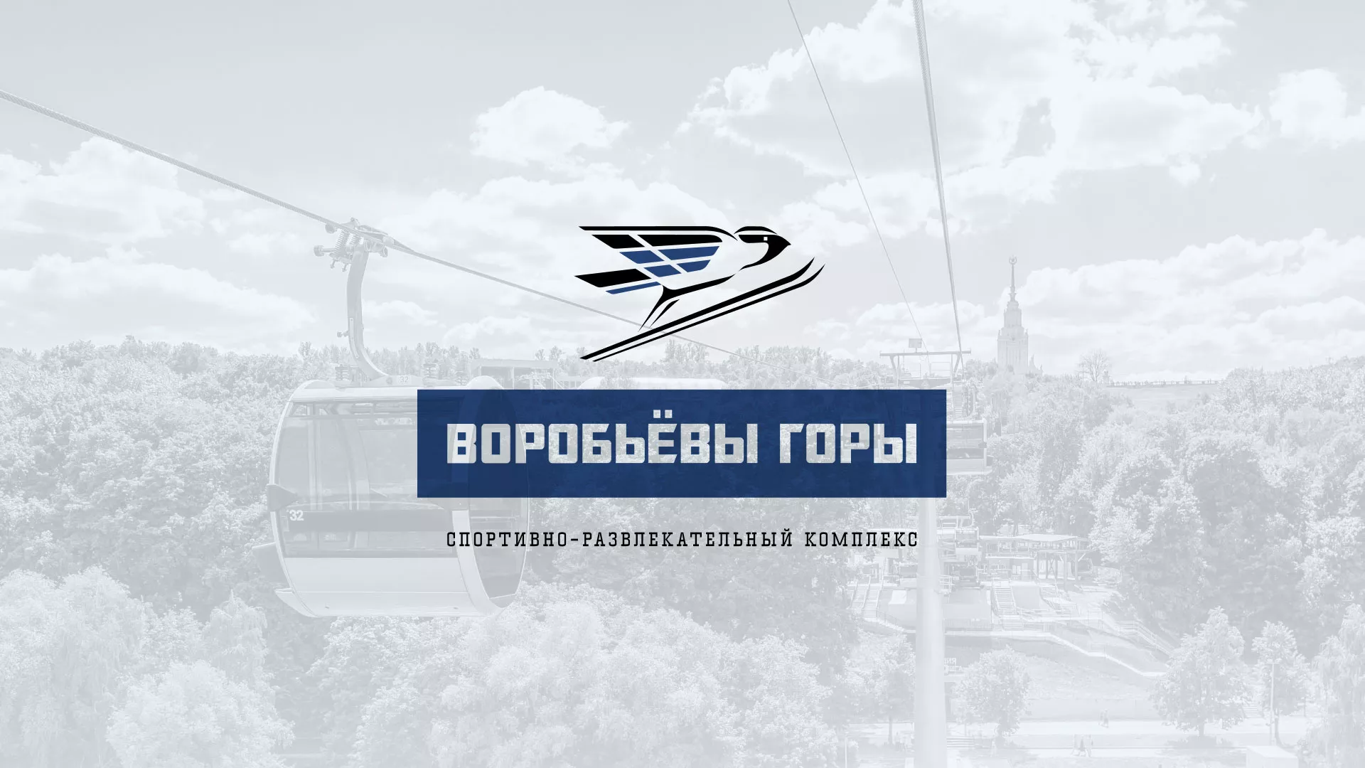 Разработка сайта в Грязовце для спортивно-развлекательного комплекса «Воробьёвы горы»